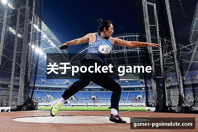 关于pocket game
